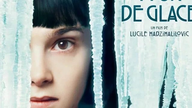 Affiche du film : La tour de glace