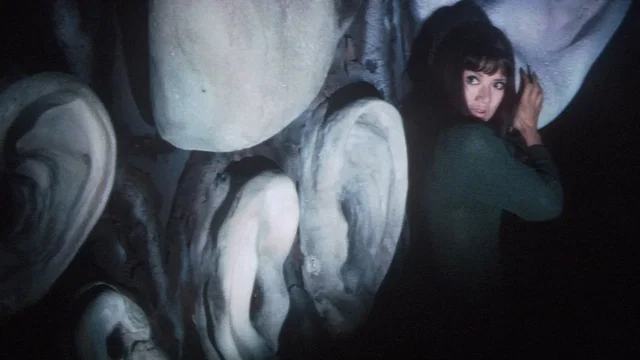 Photo 13 du film : La Bête aveugle