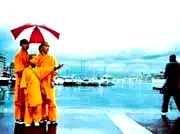 Photo 2 du film : Sunny Side of The Doc