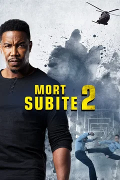 Affiche du film Mort subite 2
