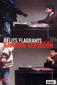 Affiche du film Delits flagrants