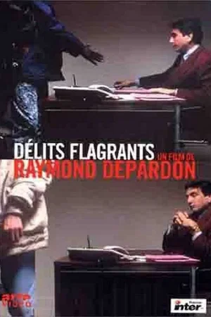 Affiche du film : Delits flagrants