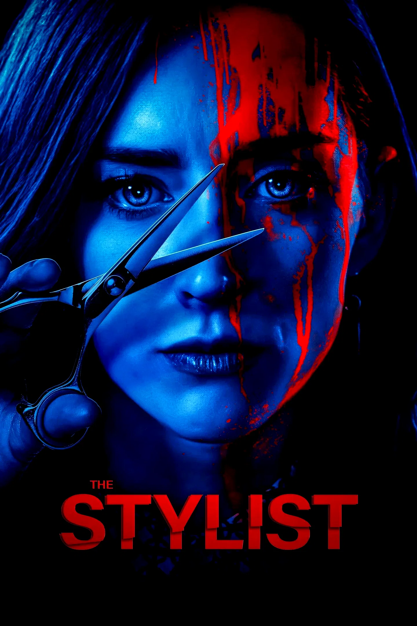 Affiche du film : The Stylist