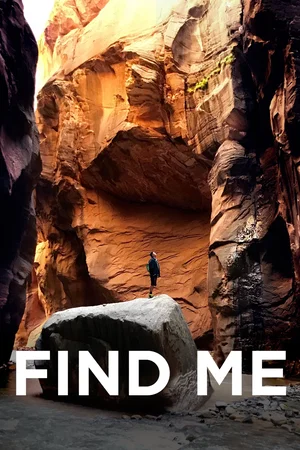 Affiche du film : Find Me