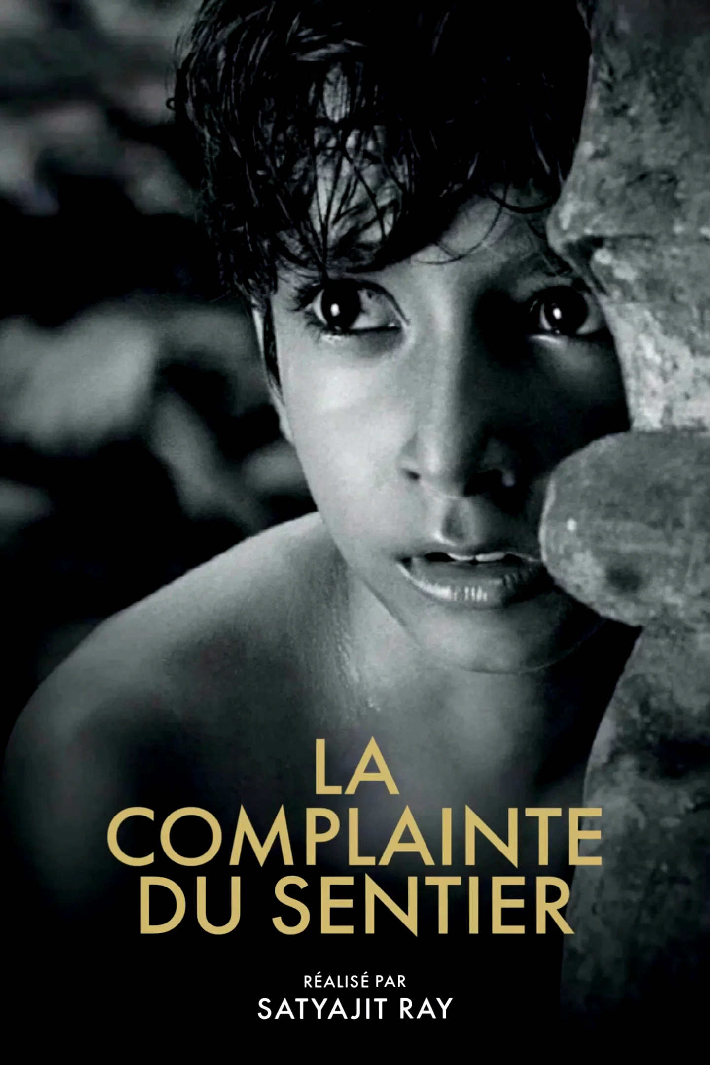 Photo 6 du film : La Trilogie d'Apu : La Complainte du sentier