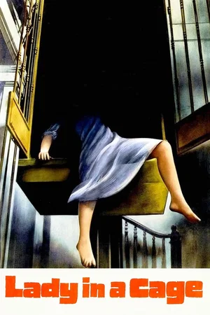 Affiche du film : Une femme dans une cage