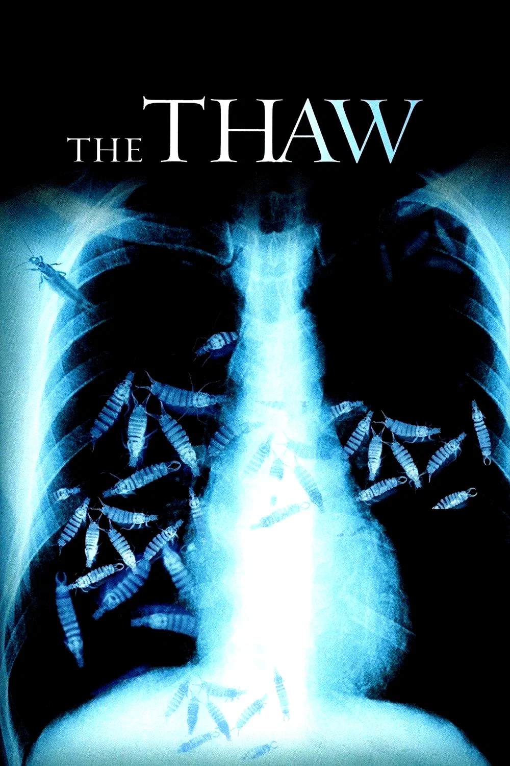 Affiche du film : The Thaw