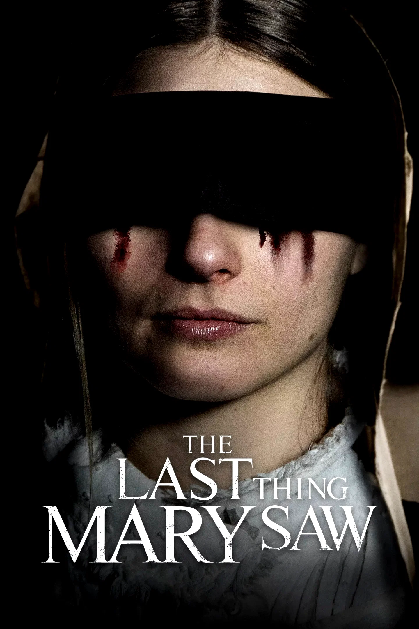 Affiche du film : The Last Thing Mary Saw