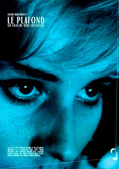 Affiche du film : Le plafond