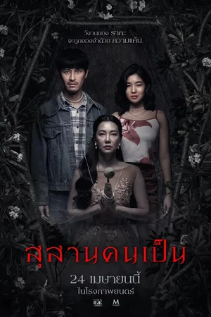 Affiche du film : Tomb Watcher