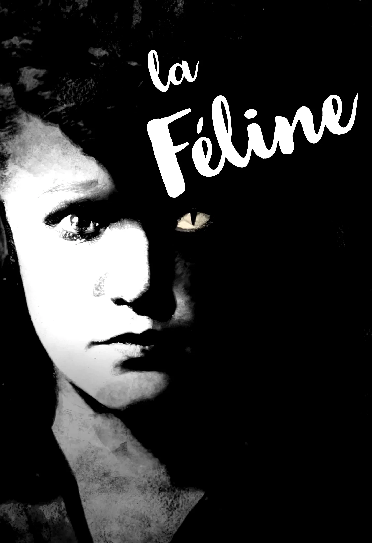 Photo 6 du film : La Féline
