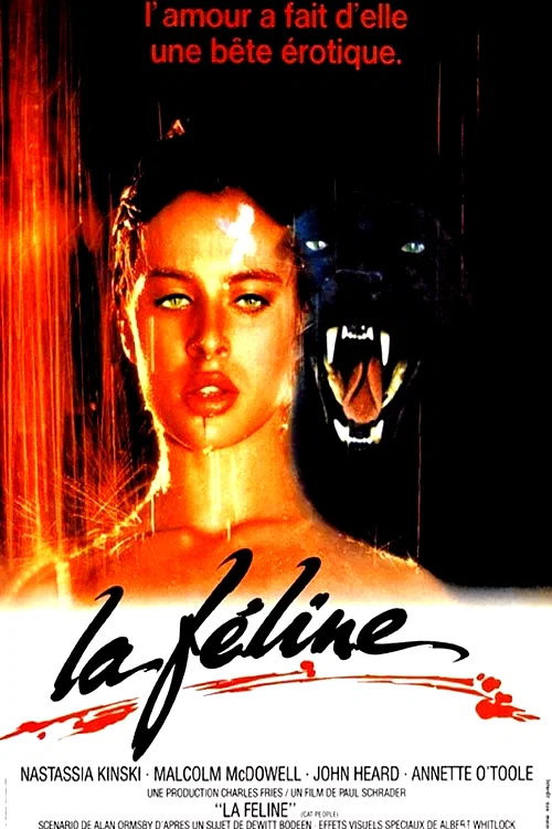 Photo 14 du film : La Féline