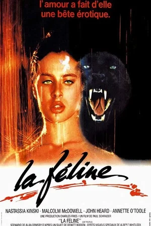 Photo du film : La Féline