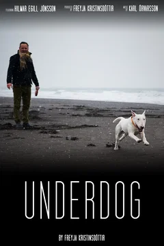Affiche du film Rjómi