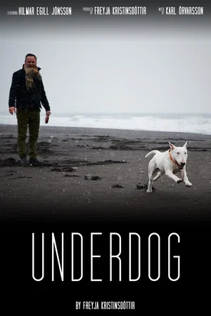 Affiche du film : Rjómi