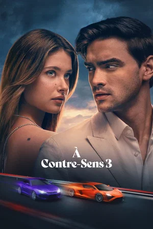 Affiche du film : À contre-sens 3
