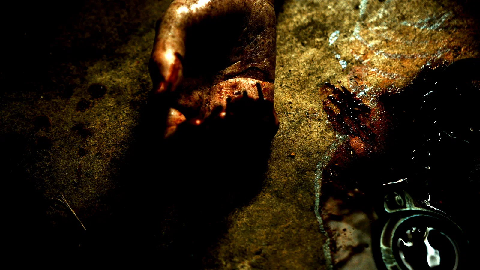 Photo du film : The Torturer