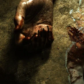 Photo du film : The Torturer