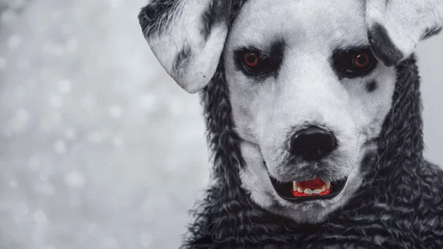 Photo du film : Good Boy