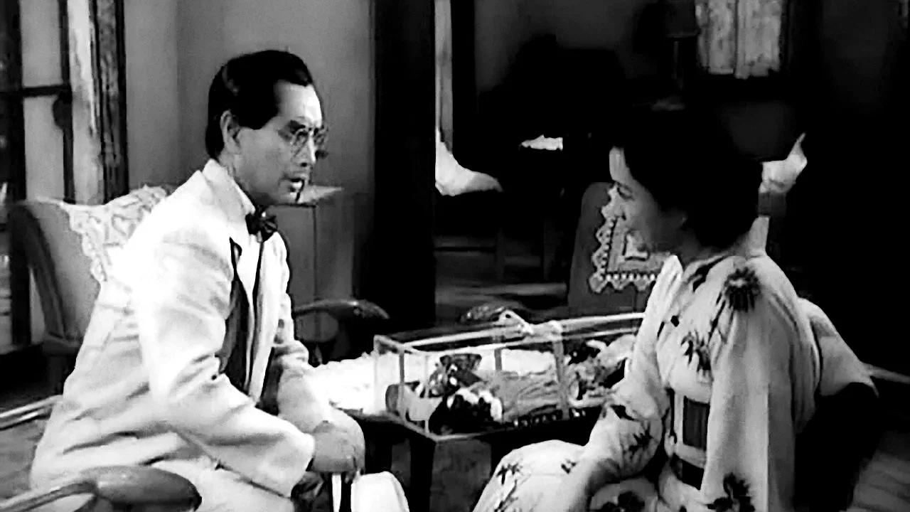 Photo 3 du film : La dame de musashino
