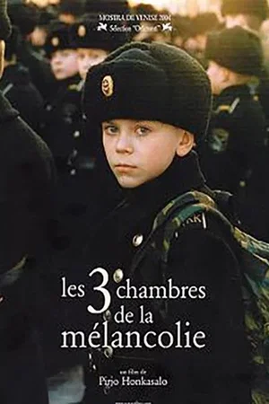 Affiche du film : Les 3 chambres de la melancolie