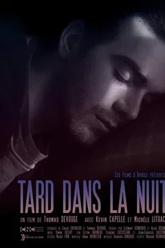 Affiche du film Tard dans la nuit