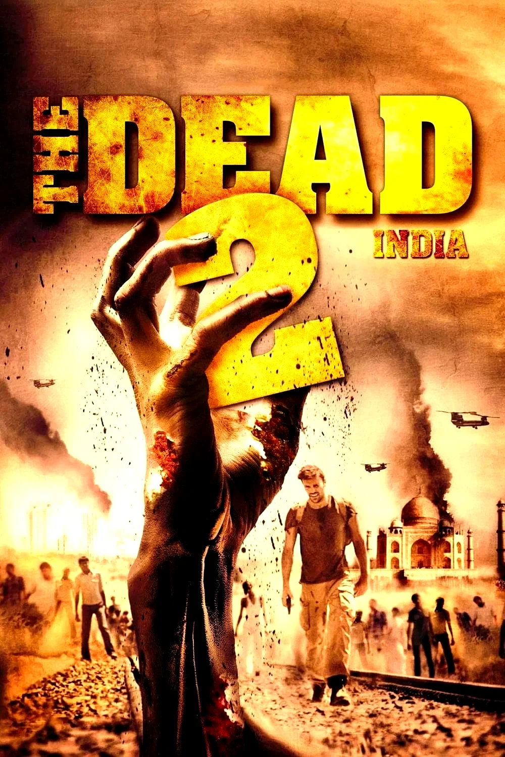 Affiche du film : The Dead 2 : India