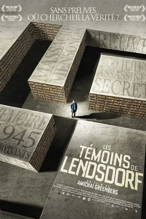 Affiche du film : Les  Témoins de Lendsdorf
