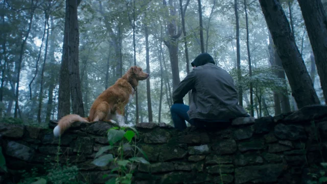 Photo du film : Good Boy