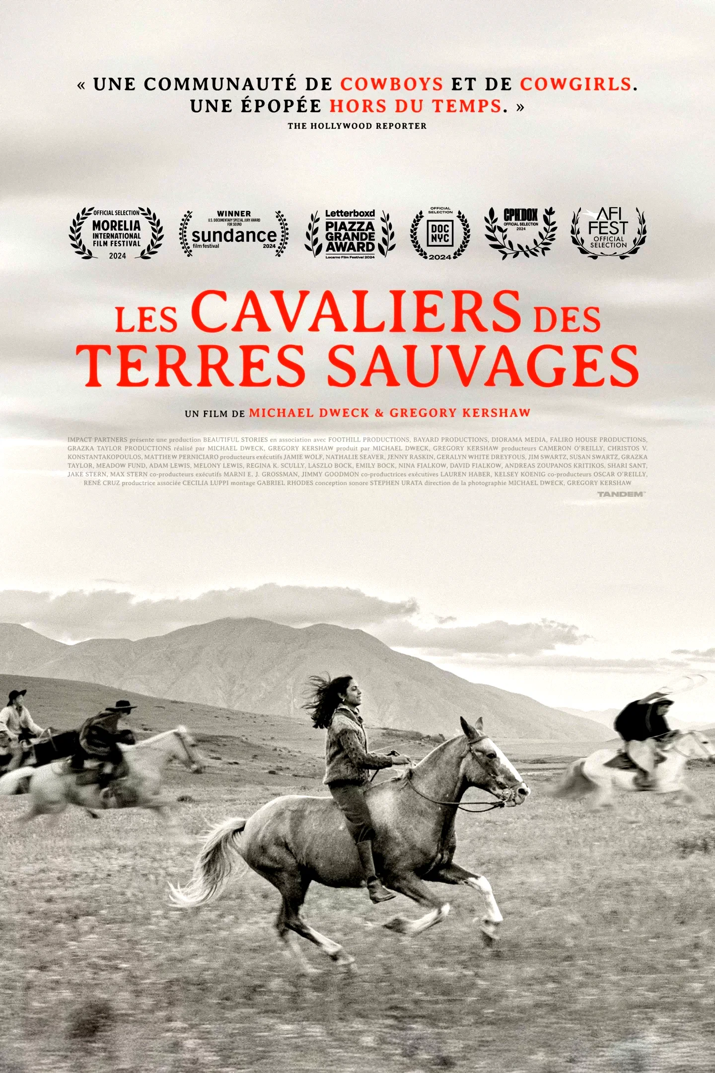 Affiche du film : Les Cavaliers des terres sauvages