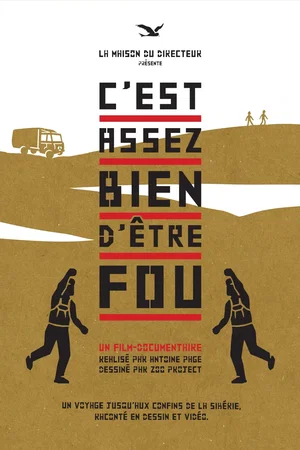 Affiche du film : C'est assez bien d'être fou