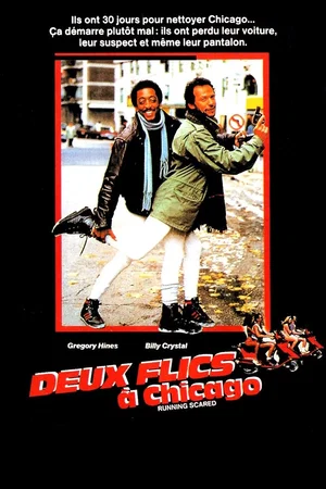 Photo 3 du film : Deux flics à Chicago