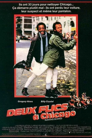Photo 4 du film : Deux flics à Chicago