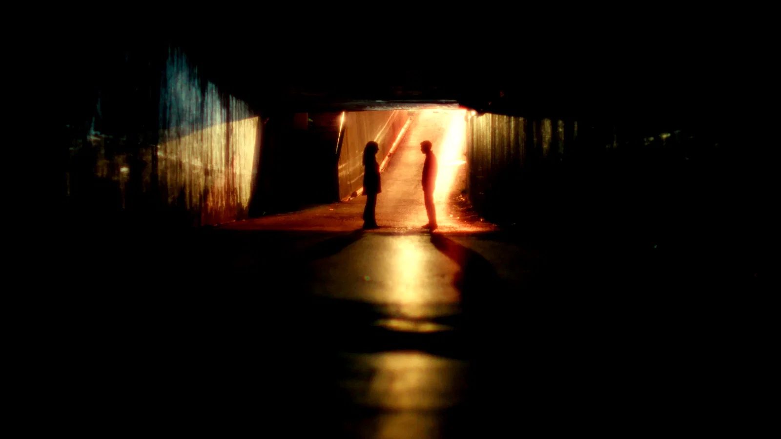 Photo 2 du film : Un monde fragile et merveilleux