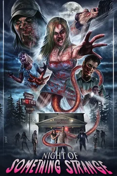 Affiche du film Night of Something Strange