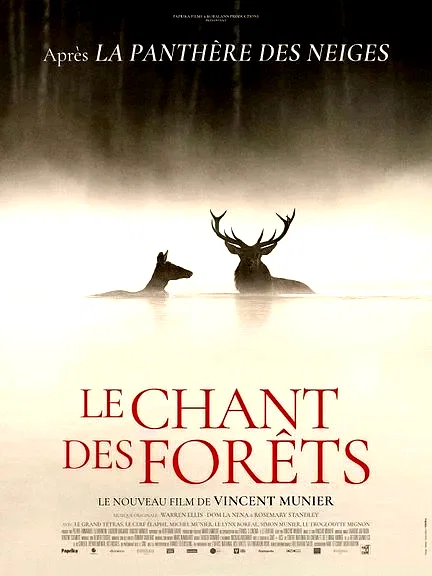 Affiche du film : Le chant des forêts