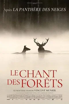 Affiche du film : Le chant des forêts