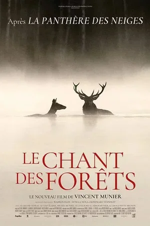 Affiche du film : Le chant des forêts