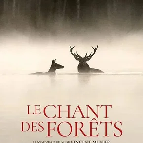 Photo du film : Le chant des forêts