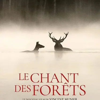 Miniature photo du film : Le chant des forêts