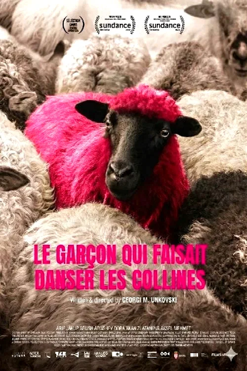 Photo 3 du film : Le Garçon qui faisait danser les collines