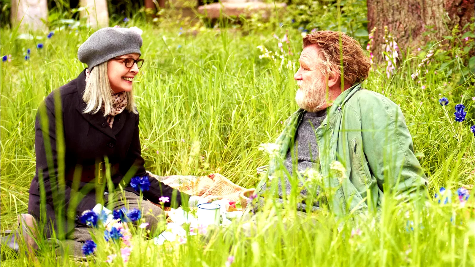 Photo 4 du film : Rencontre à Hampstead Park