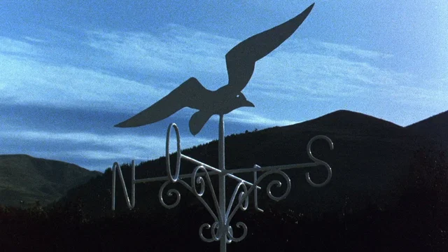 Photo 4 du film : Le Sud