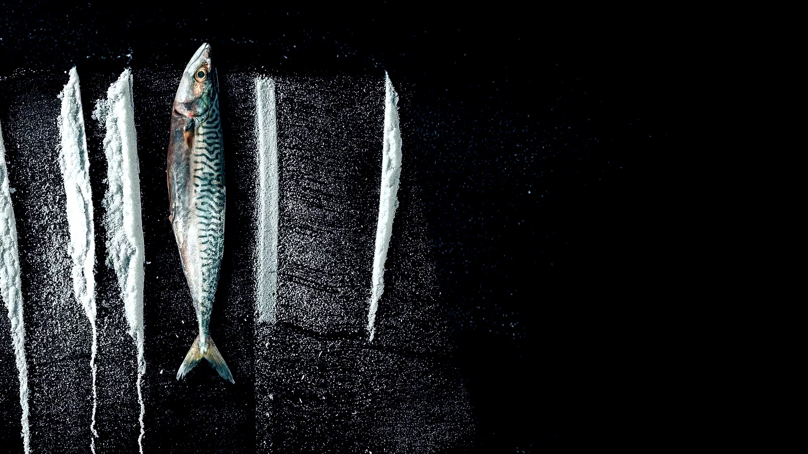Photo du film : Pêche interdite : L'histoire surréaliste de Rabo de Peixe