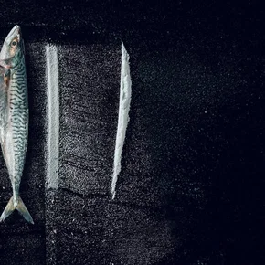 Photo du film : Pêche interdite : L'histoire surréaliste de Rabo de Peixe