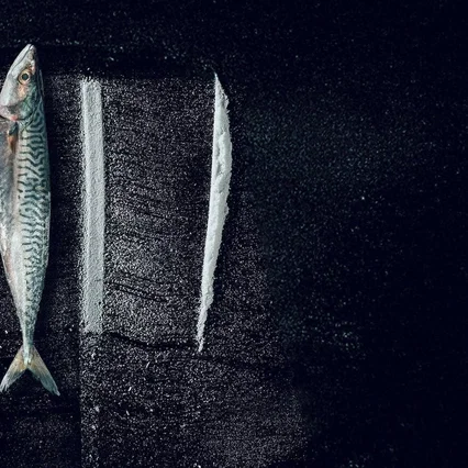 Miniature photo du film : Pêche interdite : L'histoire surréaliste de Rabo de Peixe
