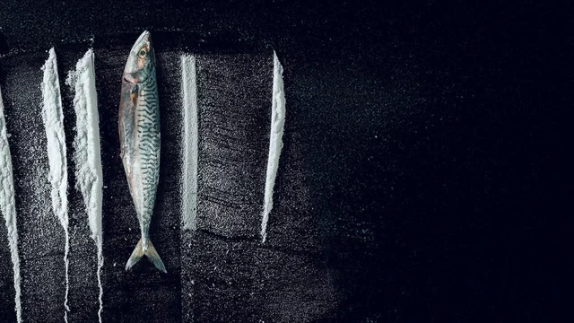 Photo 2 du film : Pêche interdite : L'histoire surréaliste de Rabo de Peixe