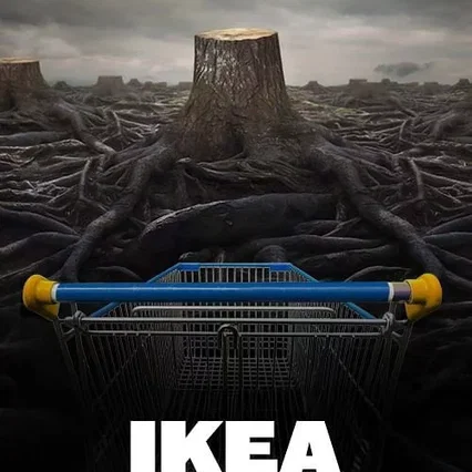 Miniature photo du film : Ikea, le seigneur des forêts