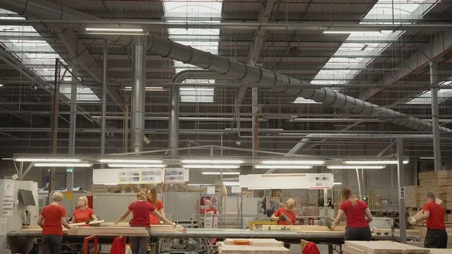 Photo 5 du film : Ikea, le seigneur des forêts