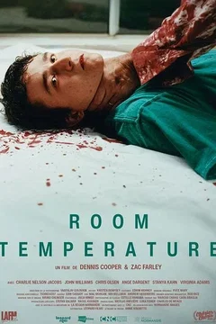 Affiche du film = Room Temperature